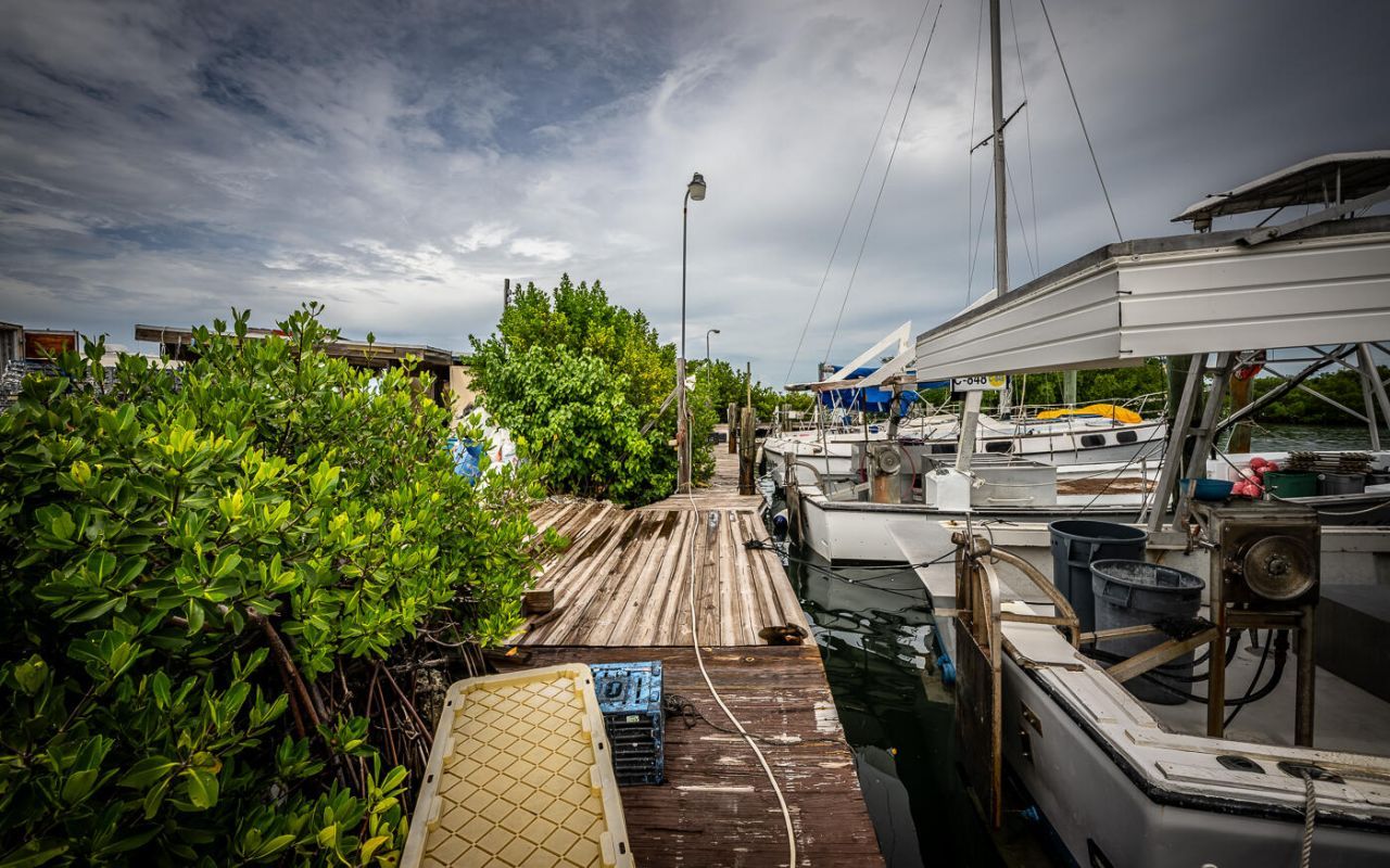 15 Seaview Avenue, Conch, FL 33050 Photo