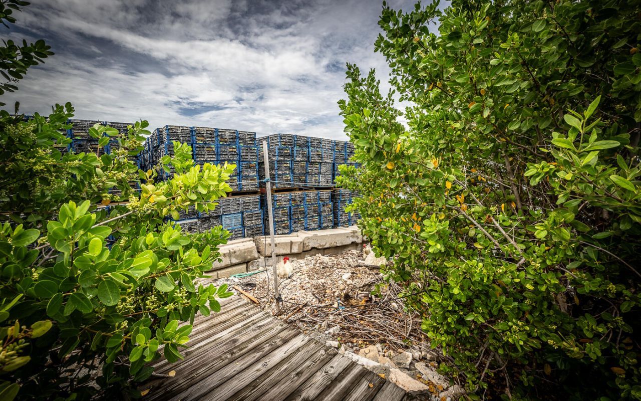 15 Seaview Avenue, Conch, FL 33050 Photo