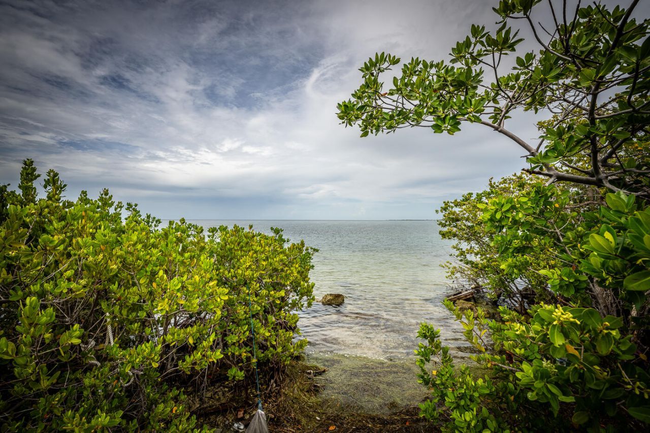 15 Seaview Avenue, Conch, FL 33050 Photo