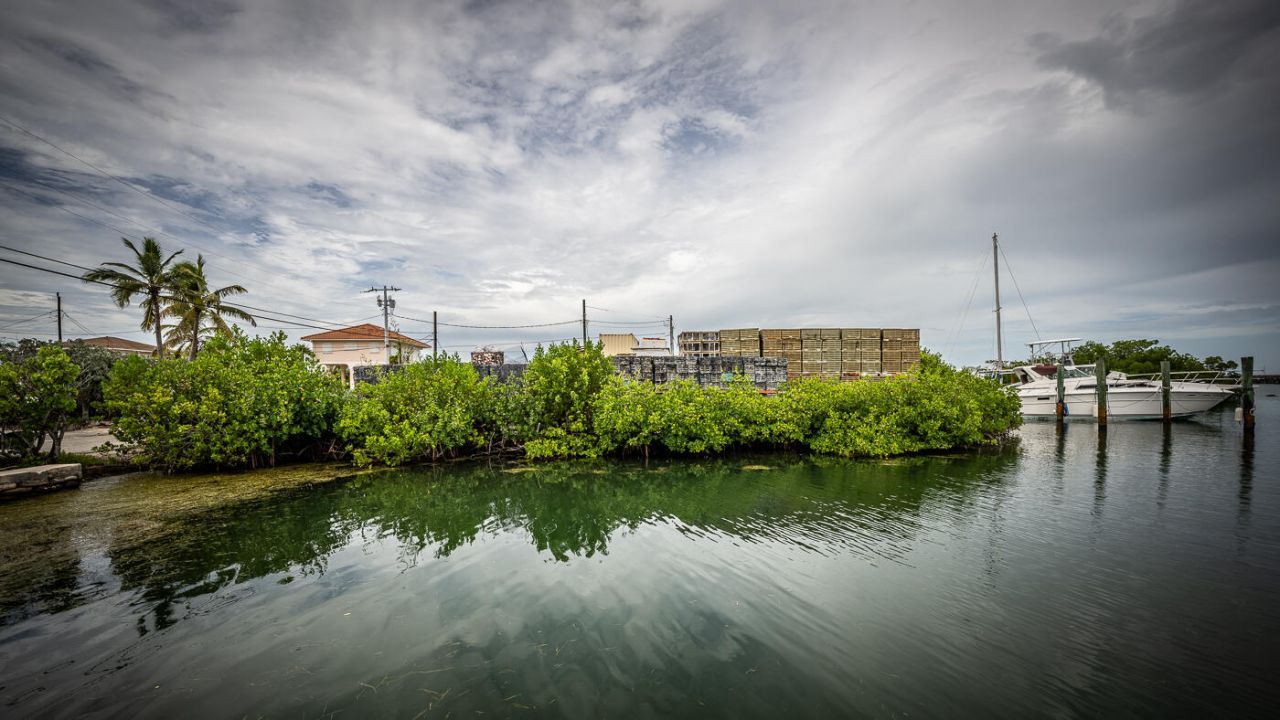 15 Seaview Avenue, Conch, FL 33050 Photo