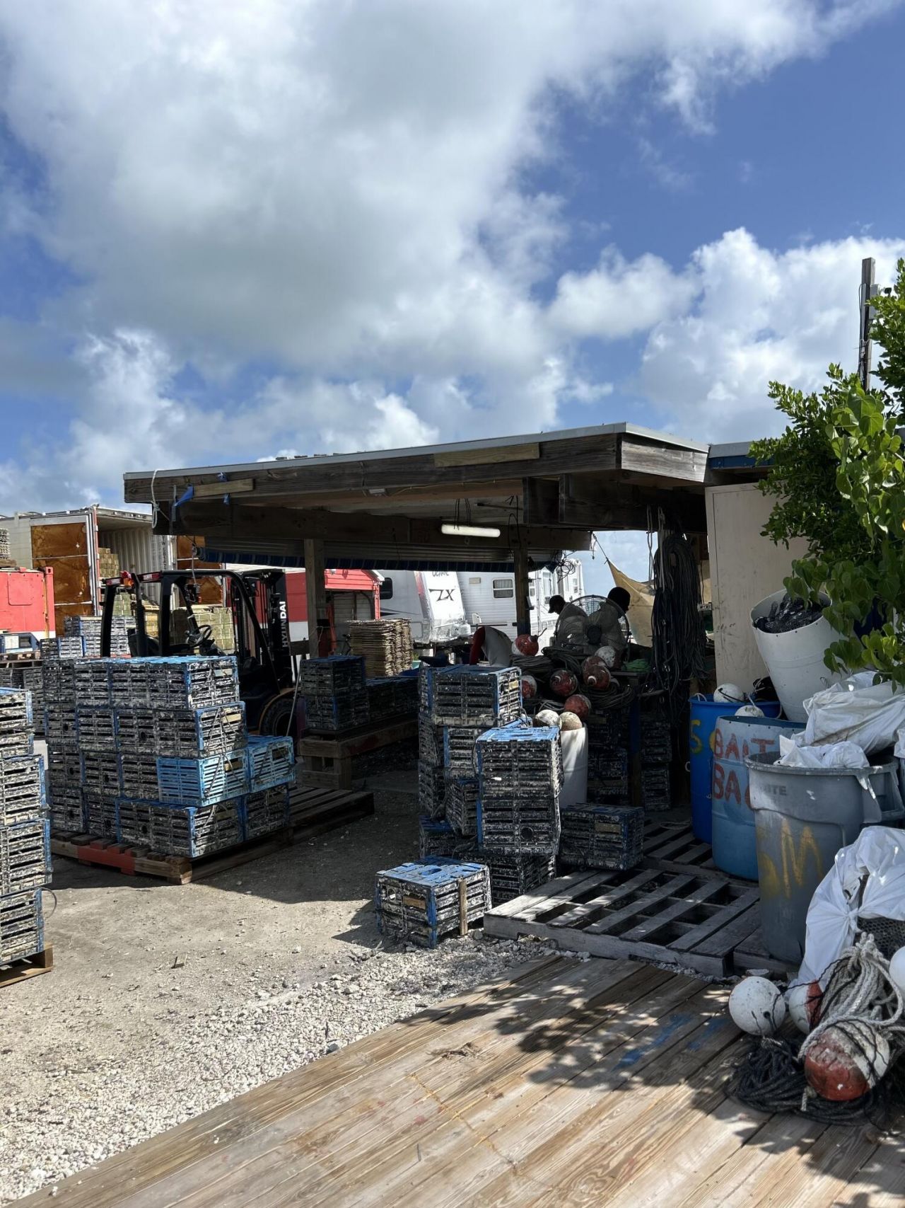 15 Seaview Avenue, Conch, FL 33050 Photo