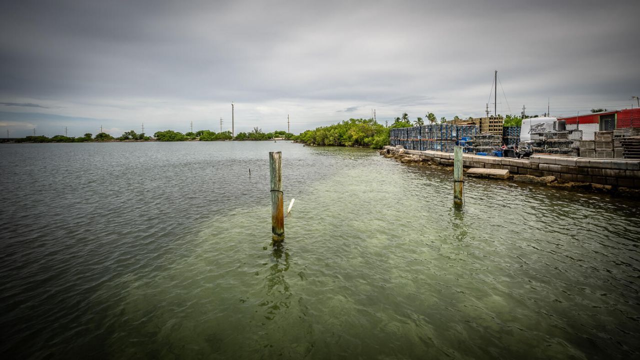 15 Seaview Avenue, Conch, FL 33050 Photo