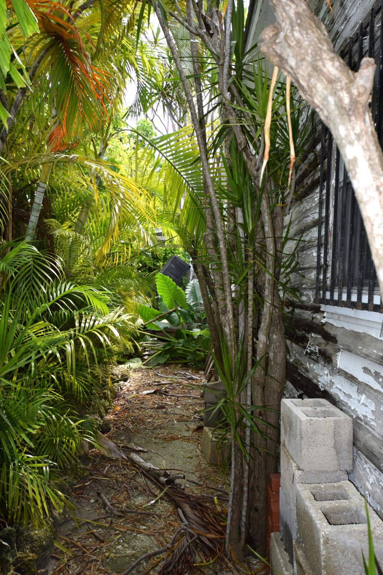 1102 Whitehead Street, Key West, FL 33040 Photo