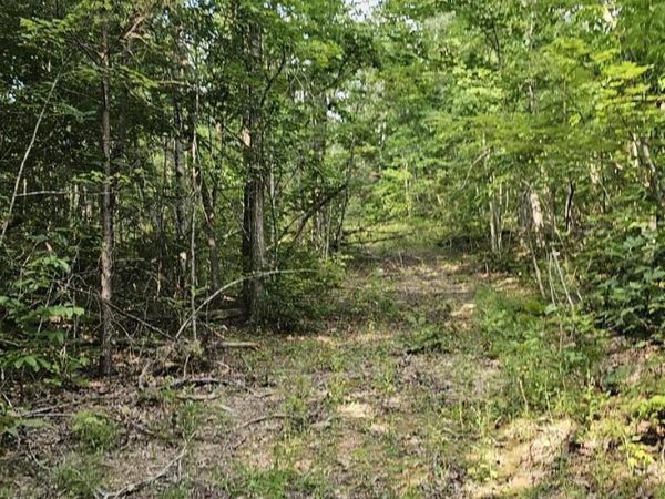 000 Cove Hill Road, Pikeville, TN 37367