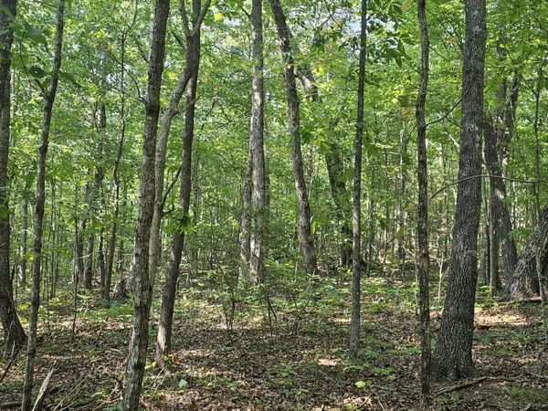 266 Cove Hill Road, Pikeville, TN 37367