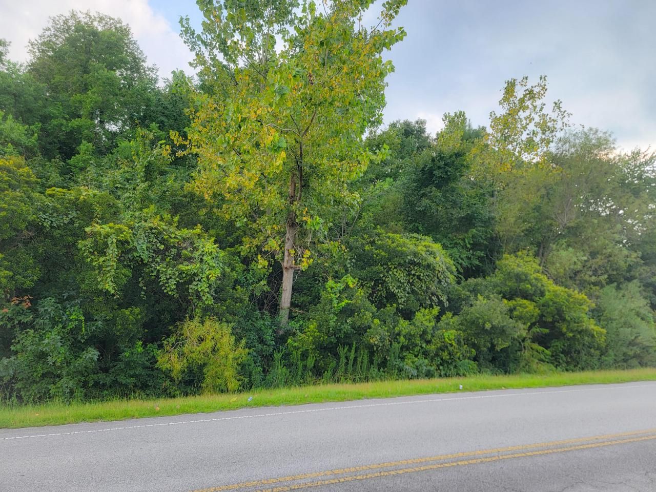 8885 Old University Boulevard Photo 5