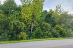 8885 Old University Boulevard photo 4