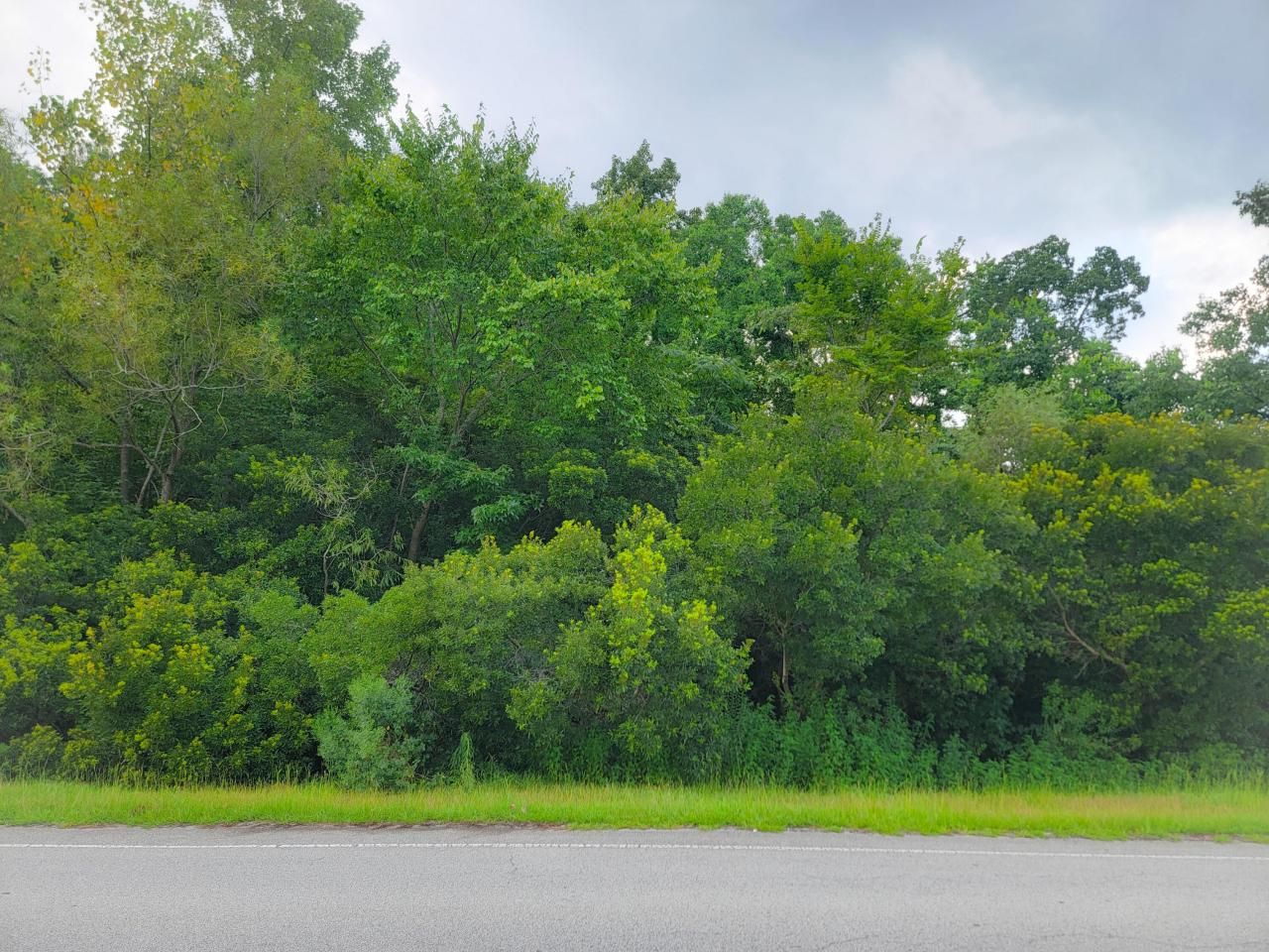 8885 Old University Boulevard Photo 6