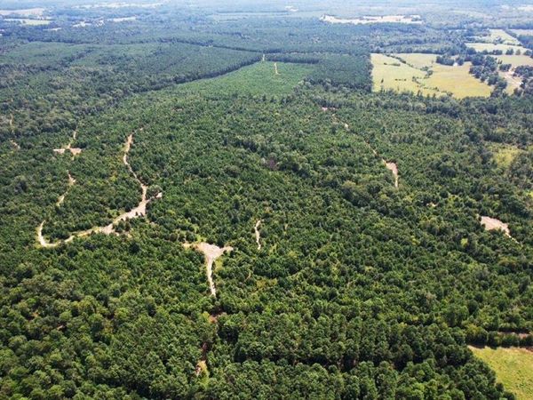 TBD County Road 3163, Laneville, TX 75667