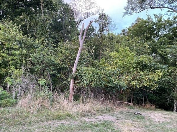 0 Pinnell Street, Cottageville, WV 25239