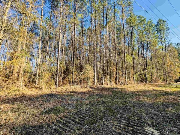 Lot 21 La Hwy 449, Pine Grove, LA 70453