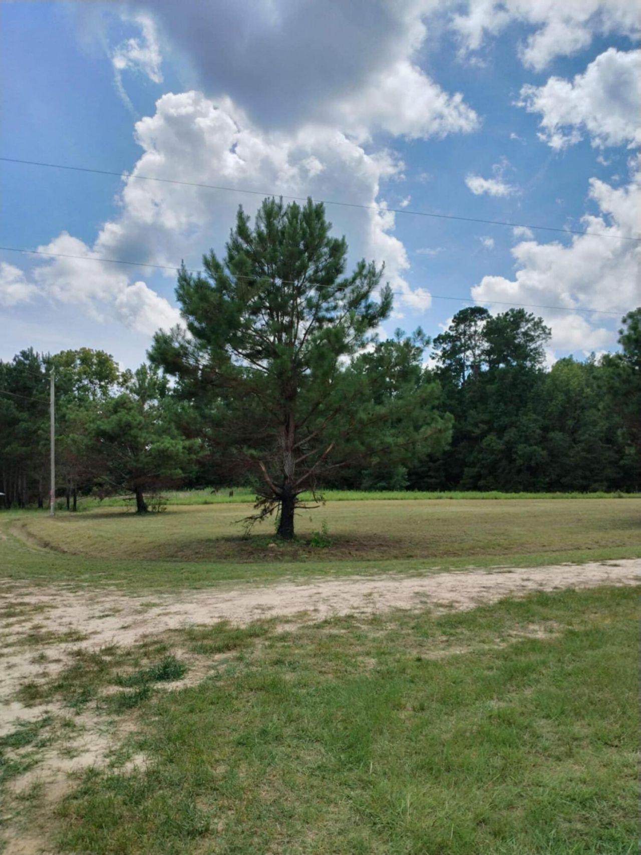 250 Dandelion Ct Photo 2