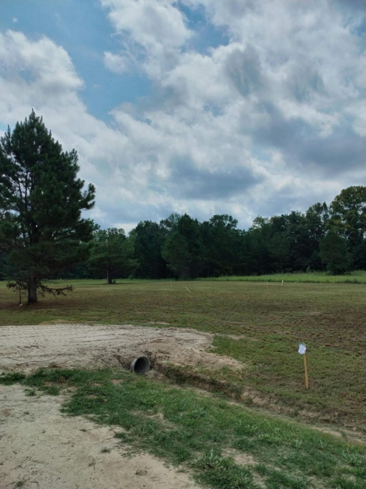 250 Dandelion Ct Photo 3