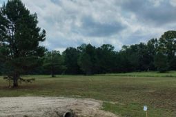 250 Dandelion Ct photo 4