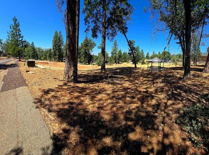 351 Pinewood Dr, Paradise, CA 95969 Photo