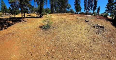 351 Pinewood Dr, Paradise, CA 95969 Photo