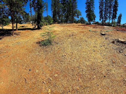 351 Pinewood Dr, Paradise, CA 95969 Photo