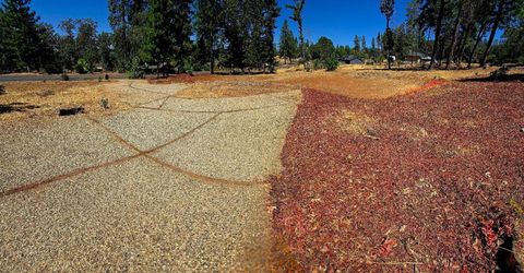 351 Pinewood Dr, Paradise, CA 95969 Photo