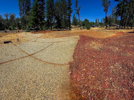 351 Pinewood Dr, Paradise, CA 95969 Photo