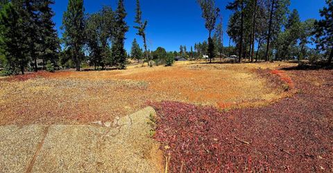 351 Pinewood Dr, Paradise, CA 95969 Photo