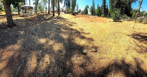 351 Pinewood Dr, Paradise, CA 95969 Photo