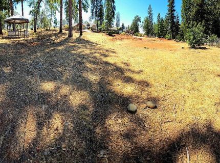 351 Pinewood Dr, Paradise, CA 95969 Photo