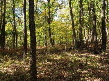 0 Trey Court, Madison Heights, VA 24572