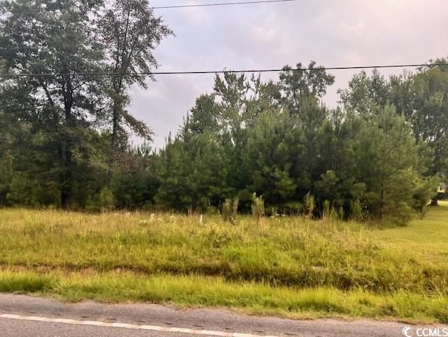 3995 Highway 813 Photo 2