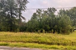 3995 Highway 813 photo 4