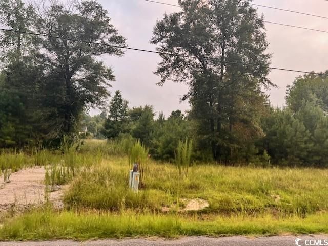 3995 Highway 813 Photo 3