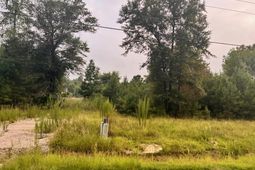 3995 Highway 813 photo 4