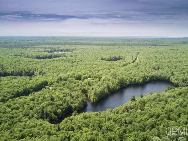 0 H58 Road, Burt Twp, MI 49884