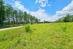 0 Bells Highway & Jones Swamp Highway photo 4