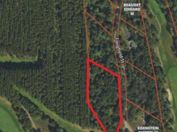 Lot 13 Longfield Street, Lewiston, MI 49756