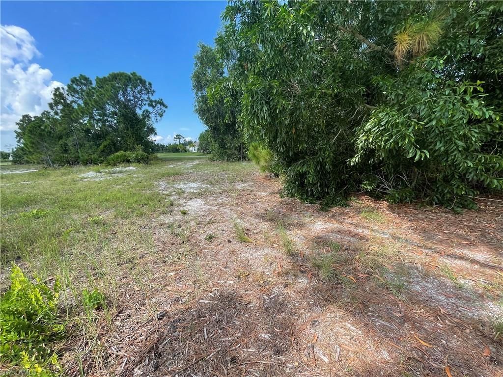 4513 NW 34th Pl, Cape Coral, FL 33993 Photo