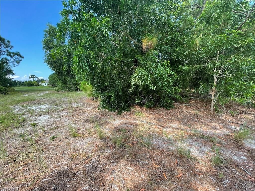 4513 NW 34th Pl, Cape Coral, FL 33993 Photo