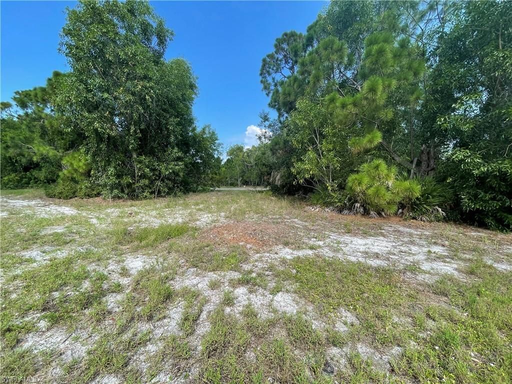 4513 NW 34th Pl, Cape Coral, FL 33993 Photo