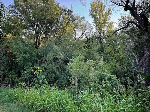 TBD County Road 1117, Cleburne, TX 76033