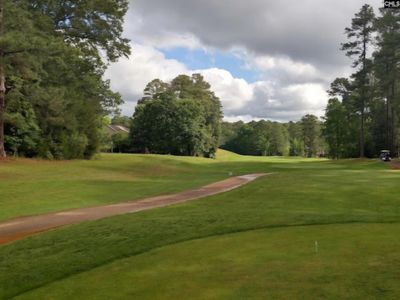 520 Wateroak Trail, Unit 5, Chapin, SC 29036