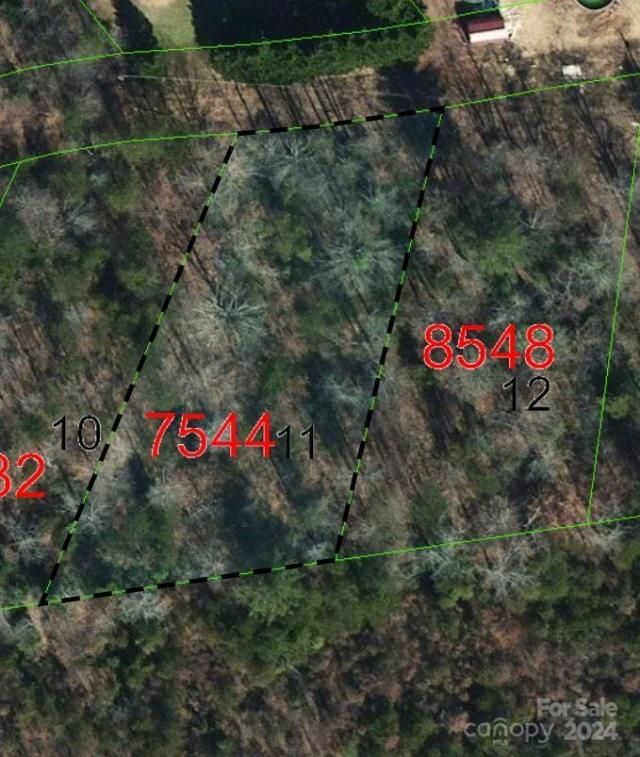 Tbd Biggerstaff Loop, Nebo, NC 28761 Main Photo