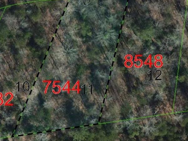 TBD Biggerstaff Loop, Nebo, NC 28761