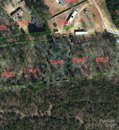 Tbd Biggerstaff Loop, Nebo, NC 28761 Main Photo