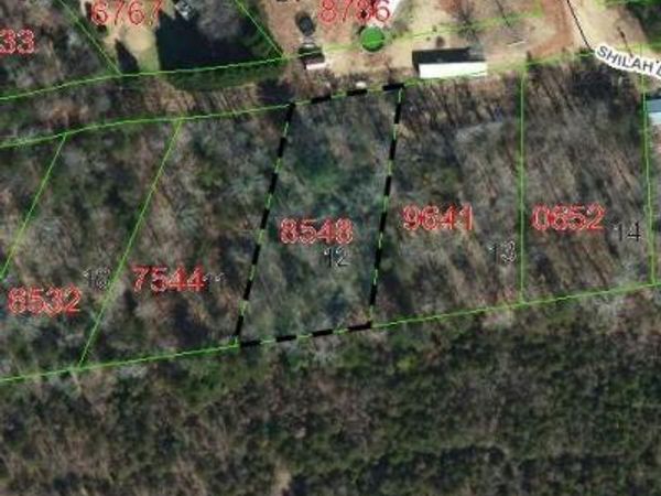 TBD Biggerstaff Loop, Nebo, NC 28761