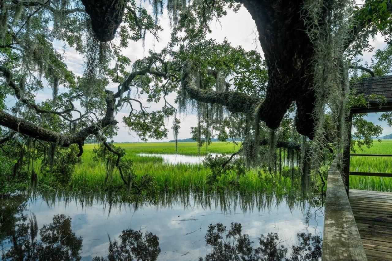 8467 Middleton Point Lane Photo 11