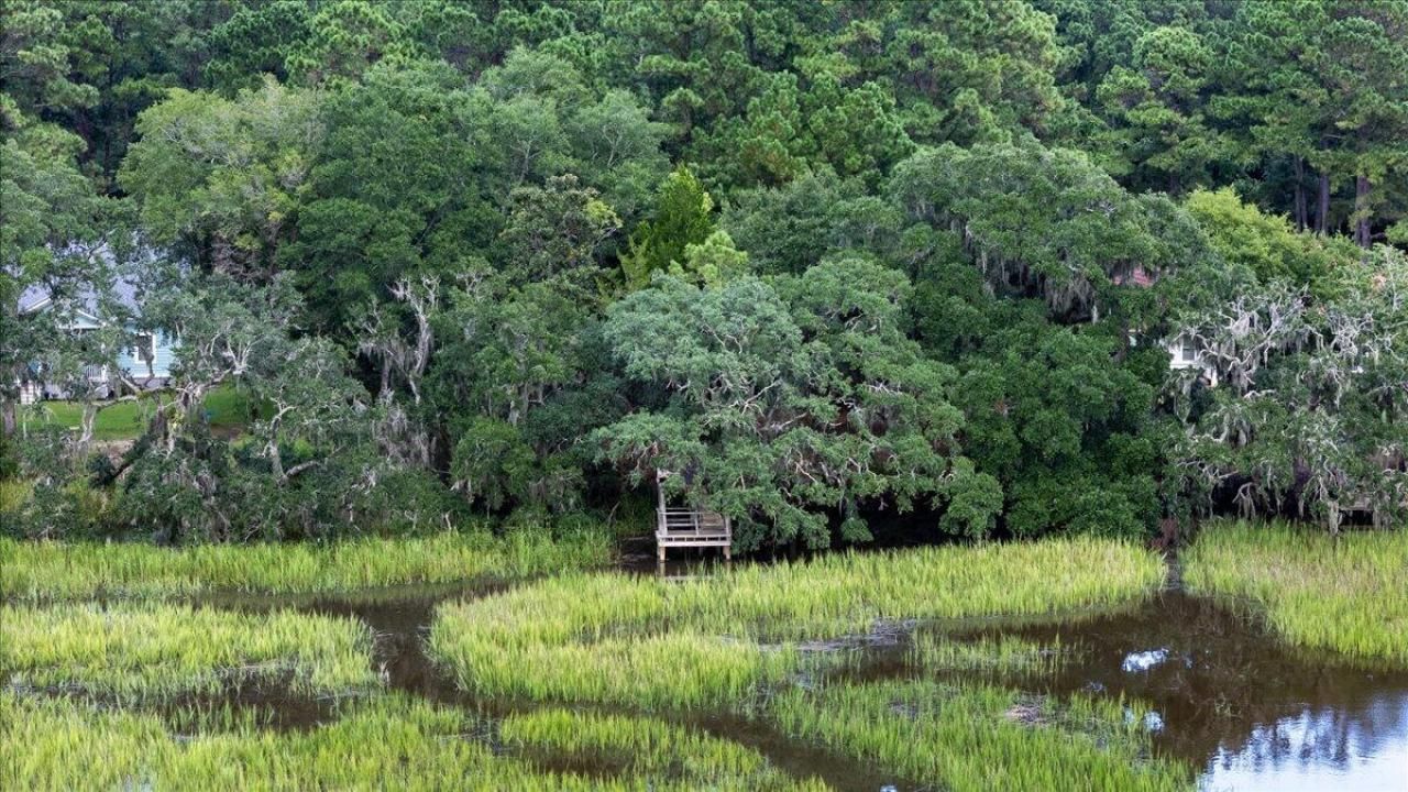 8467 Middleton Point Lane Photo 13