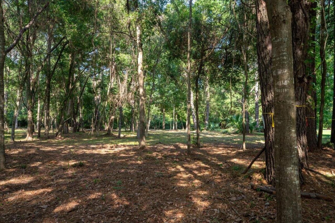 8467 Middleton Point Lane Photo 15