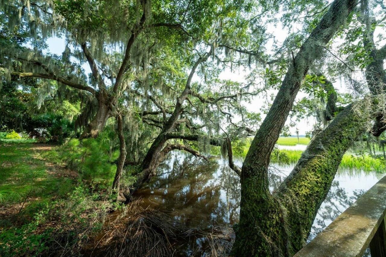 8467 Middleton Point Lane Photo 17