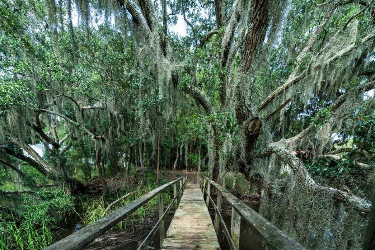 8467 Middleton Point Lane Photo 18