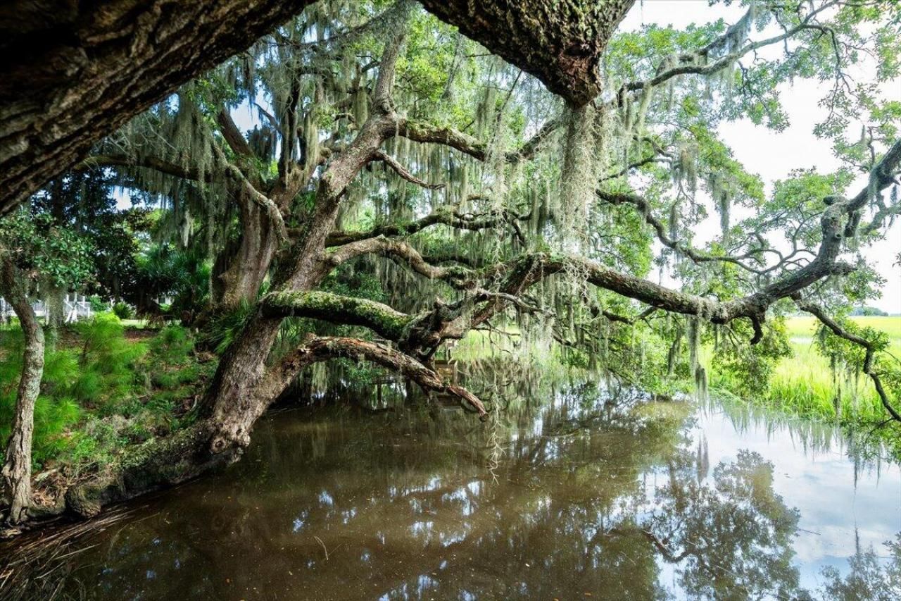 8467 Middleton Point Lane Photo 19