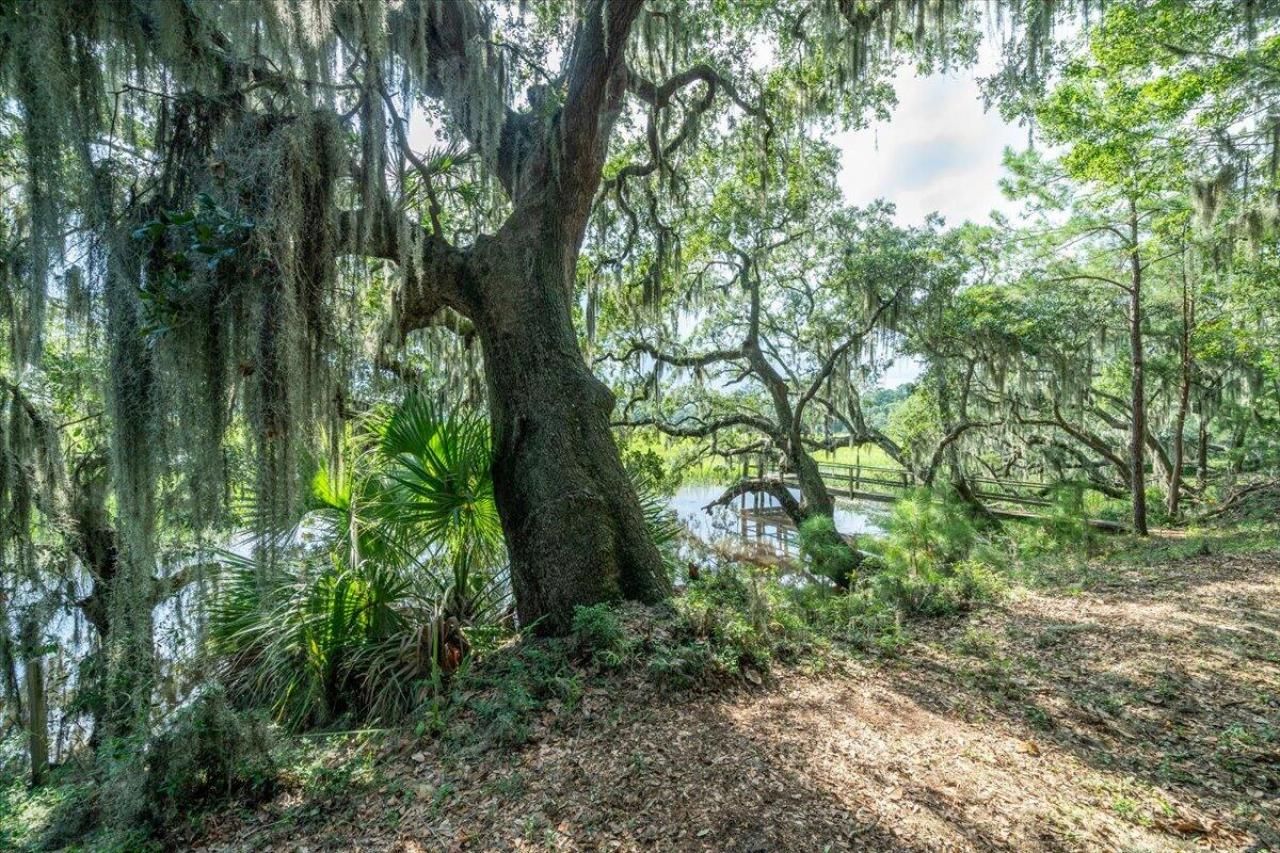 8467 Middleton Point Lane Photo 20